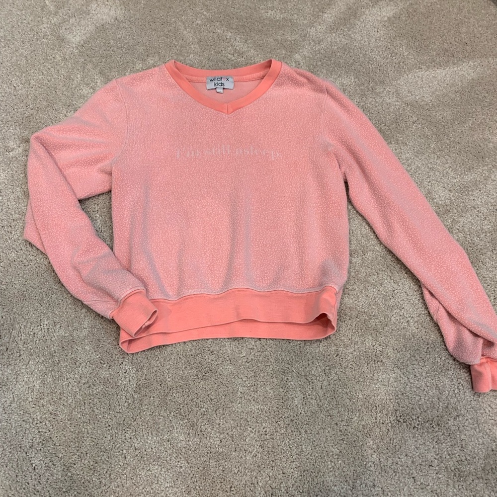 Wild fox kids distressed sweatshirt